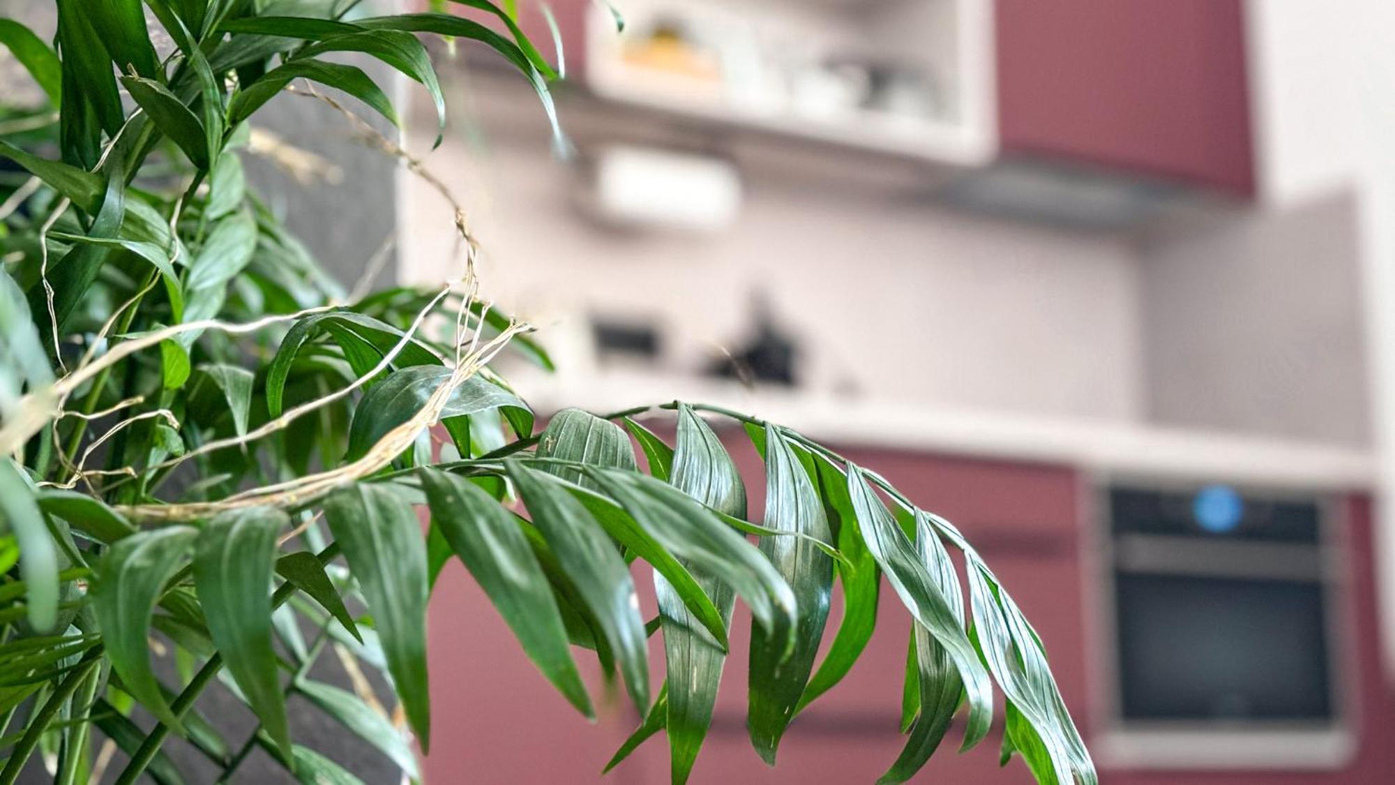 Remote Work Friendly Zahradni Apartman U Jezera Staré Splavy Zewnętrze zdjęcie