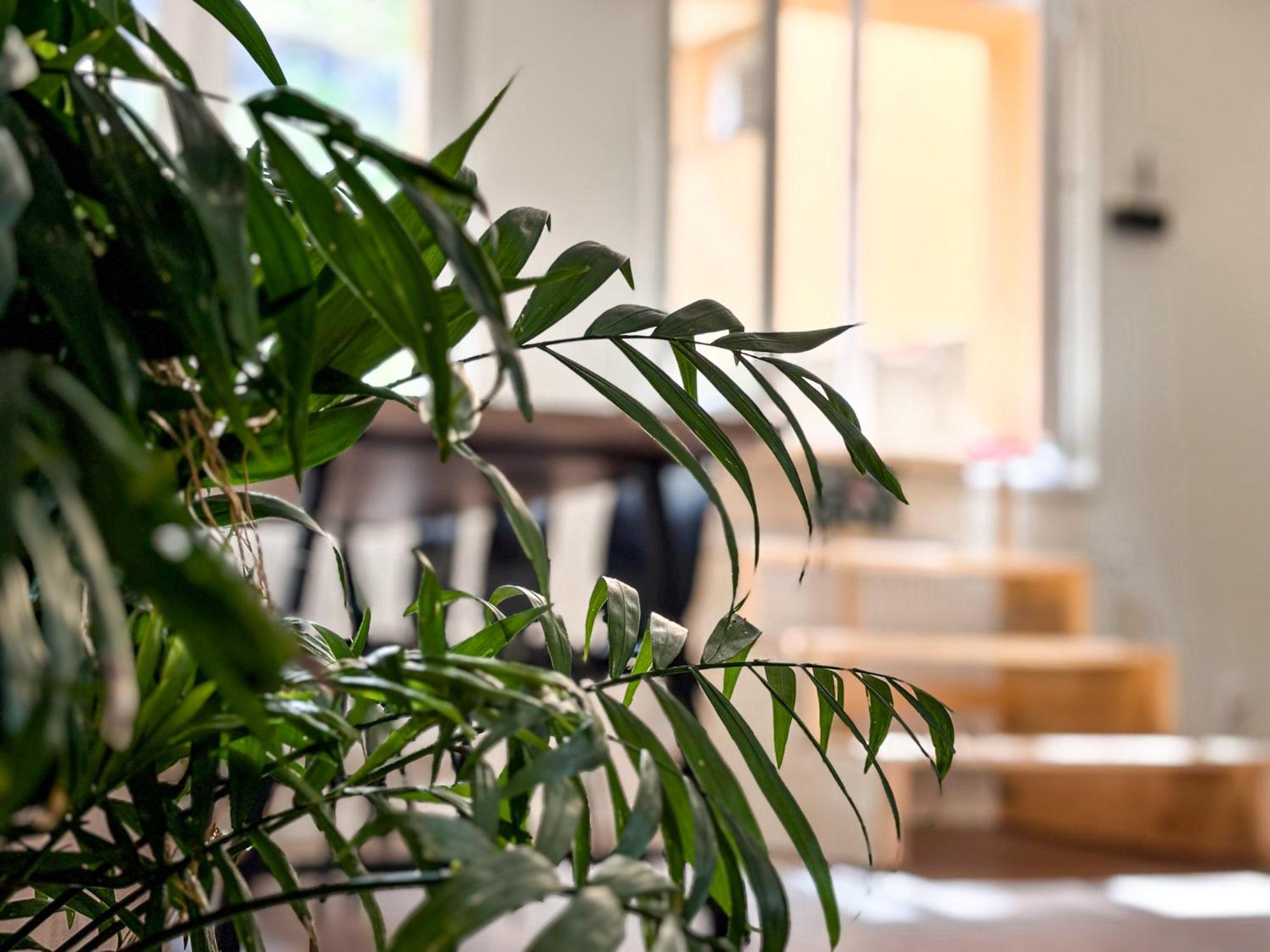 Remote Work Friendly Zahradni Apartman U Jezera Staré Splavy Zewnętrze zdjęcie
