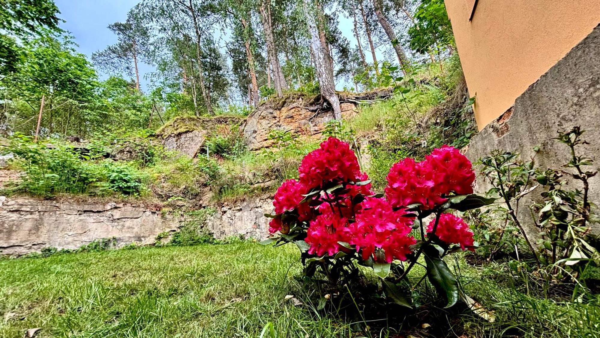 Remote Work Friendly Zahradni Apartman U Jezera Staré Splavy Zewnętrze zdjęcie